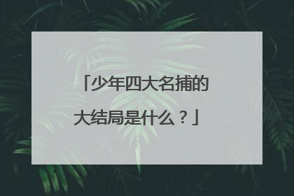 少年四大名捕的大结局是什么?