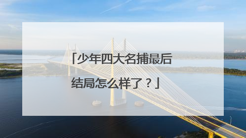 少年四大名捕最后结局怎么样了?