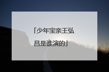 少年宝亲王弘昌是谁演的