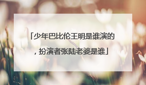 少年巴比伦王明是谁演的，扮演者张陆老婆是谁