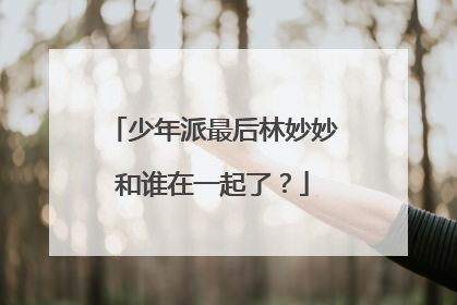 少年派最后林妙妙和谁在一起了？