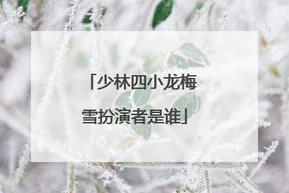 少林四小龙梅雪扮演者是谁