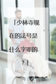 少林寺现在的法号是什么字辈的？