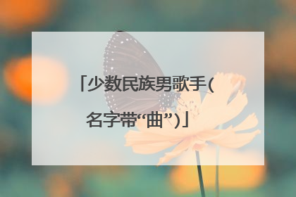 少数民族男歌手(名字带“曲”)