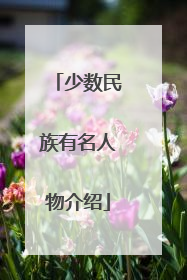 少数民族有名人物介绍