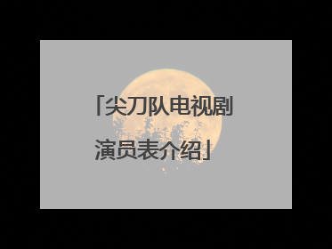 尖刀队电视剧演员表介绍