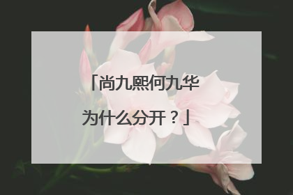 尚九熙何九华为什么分开?