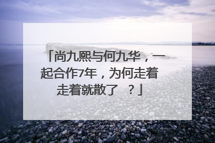 尚九熙与何九华,一起合作7年,为何走着走着就散了 ?