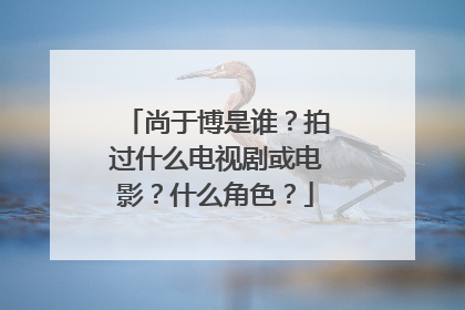 尚于博是谁?拍过什么电视剧或电影?什么角色?