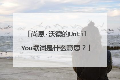 尚恩·沃德的Until You歌词是什么意思？