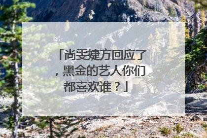 尚雯婕方回应了，黑金的艺人你们都喜欢谁？