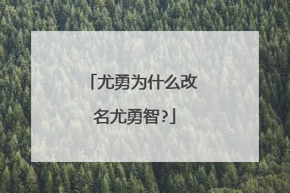 尤勇为什么改名尤勇智?