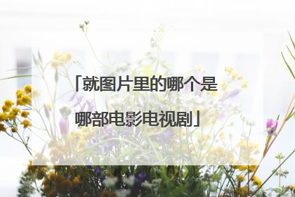就图片里的哪个是哪部电影电视剧