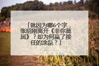 就因为哪6个字，张绍刚离开《非你莫属》？却为何赢了接任的涂磊？