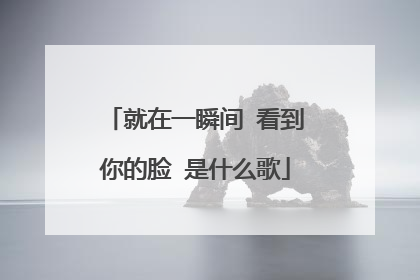 就在一瞬间 看到你的脸 是什么歌