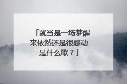 就当是一场梦醒来依然还是很感动是什么歌？