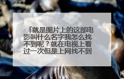 就是图片上的这部电影叫什么名字我怎么找不到呢？就在电视上看过一次但是上网找不到为什么呢？