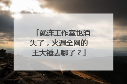 就连工作室也消失了，火遍全网的王大锤去哪了？