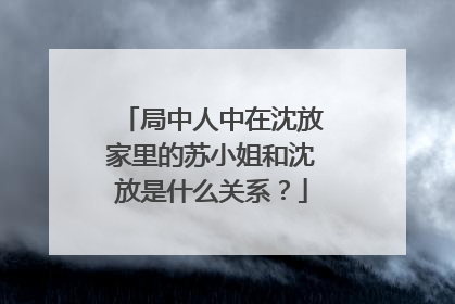 局中人中在沈放家里的苏小姐和沈放是什么关系？