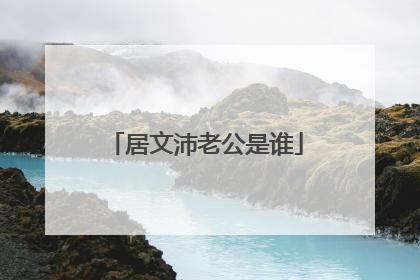 居文沛老公是谁