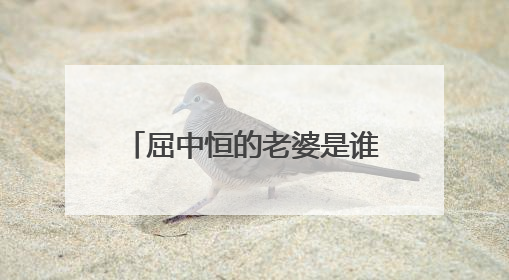 屈中恒的老婆是谁？听说很漂亮啊