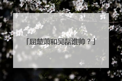 屈楚萧和吴磊谁帅？