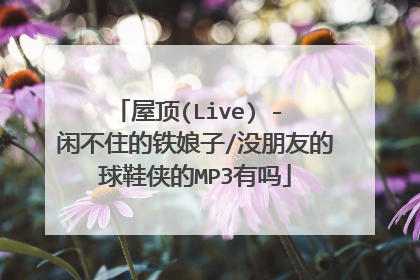 屋顶(Live) - 闲不住的铁娘子/没朋友的球鞋侠的MP3有吗