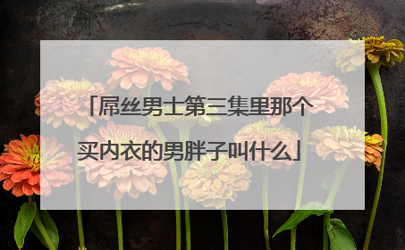 屌丝男士第三集里那个买内衣的男胖子叫什么