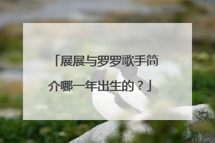 展展与罗罗歌手简介哪一年出生的？