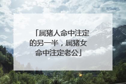 属猪人命中注定的另一半，属猪女命中注定老公