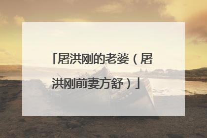 屠洪刚的老婆(屠洪刚前妻方舒)