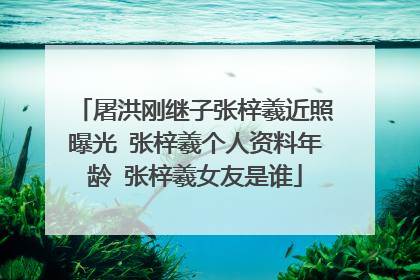 屠洪刚继子张梓羲近照曝光 张梓羲个人资料年龄 张梓羲女友是谁