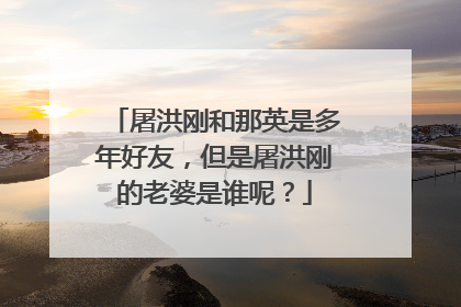 屠洪刚和那英是多年好友，但是屠洪刚的老婆是谁呢？