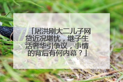 屠洪刚大二儿子网贷近况堪忧，继子生活奢华引争议，事情的背后有何内幕？