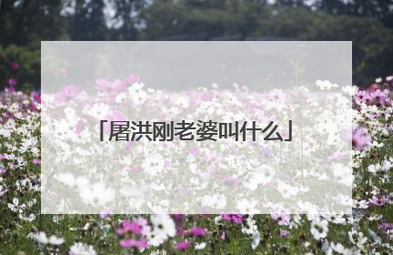 屠洪刚老婆叫什么