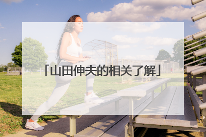 山田伸夫的相关了解