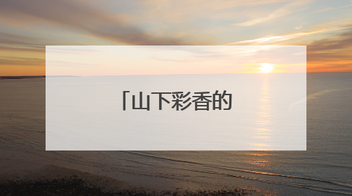 山下彩香的人物评价