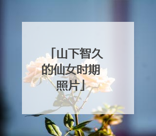 山下智久的仙女时期照片