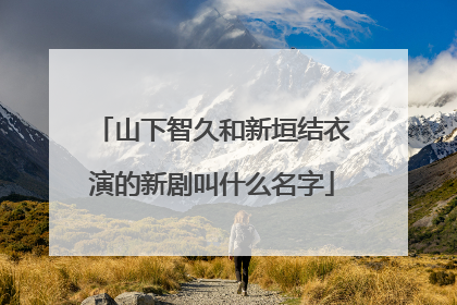 山下智久和新垣结衣演的新剧叫什么名字
