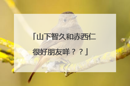 山下智久和赤西仁很好朋友咩??