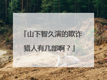 山下智久演的欺诈猎人有几部啊？