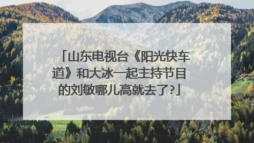 山东电视台《阳光快车道》和大冰一起主持节目的刘敏哪儿高就去了?