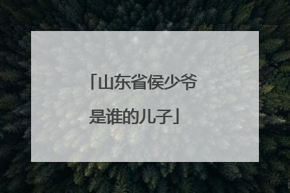 山东省侯少爷是谁的儿子