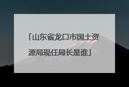 山东省龙口市国土资源局现任局长是谁
