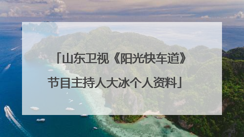 山东卫视《阳光快车道》节目主持人大冰个人资料