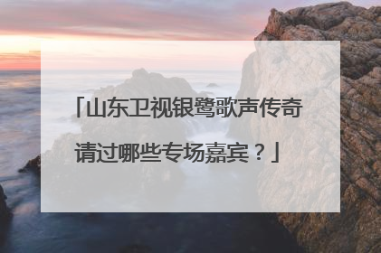 山东卫视银鹭歌声传奇请过哪些专场嘉宾？