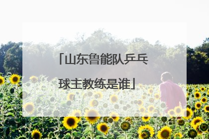 山东鲁能队乒乓球主教练是谁