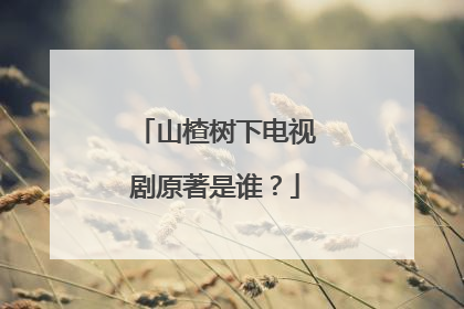 山楂树下电视剧原著是谁？