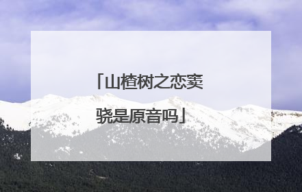 山楂树之恋窦骁是原音吗