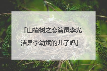 山楂树之恋演员李光洁是李幼斌的儿子吗